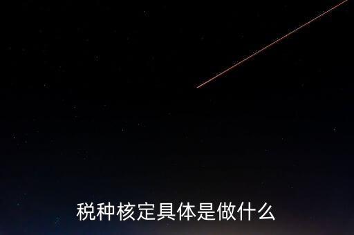 票中核定是什么核定的，哪些情況下要進(jìn)行國稅票種核定