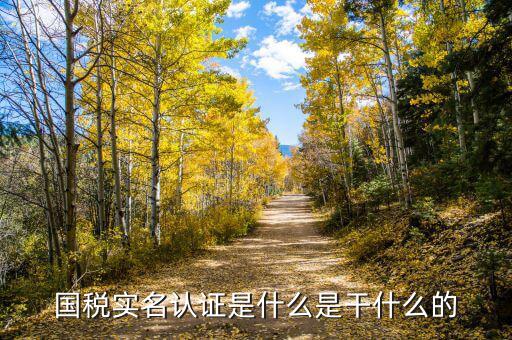 國(guó)稅局實(shí)名認(rèn)證是什么，今天國(guó)稅局叫去實(shí)名認(rèn)證認(rèn)證是不是就得交