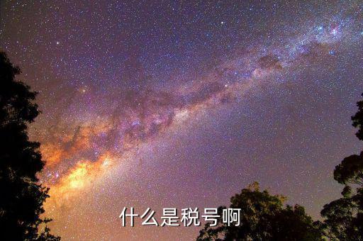 公司稅號(hào)是什么，公司的稅號(hào)一般有多少位