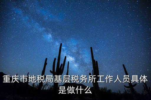 重慶地稅局前臺做什么的，重慶市地稅局基層稅務所工作人員具體是做什么