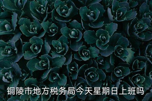 銅陵地稅局在什么地方，銅陵市地方稅務局今天星期日上班嗎