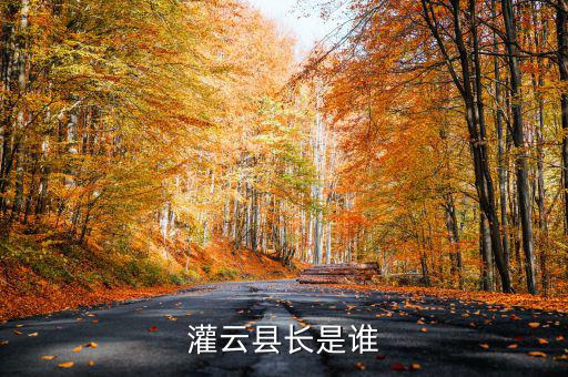 灌云國稅局局長叫什么，國家稅務(wù)局局長叫什么