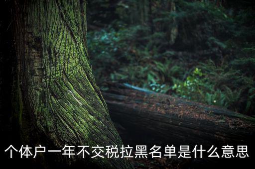 什么是納稅信用黑名單，個體戶一年不交稅拉黑名單是什么意思