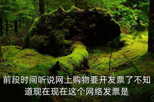 網(wǎng)絡(luò)發(fā)票是什么，在網(wǎng)上買東西電子發(fā)票與普通發(fā)票有區(qū)別嗎