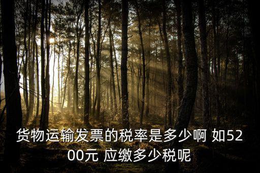 貨物運輸發(fā)票的稅率是多少啊 如5200元 應(yīng)繳多少稅呢