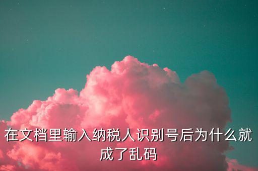 個稅導(dǎo)入模板為什么是亂碼，在文檔里輸入納稅人識別號后為什么就成了亂碼