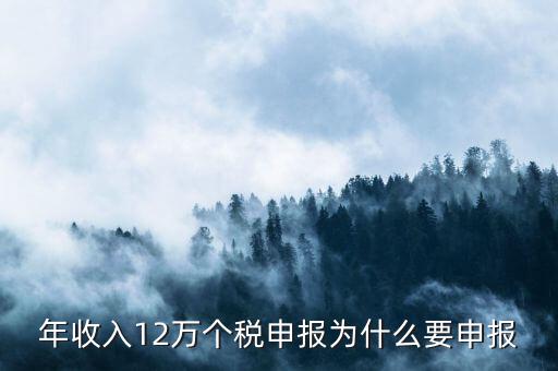 為什么12萬要申報(bào)表，每個(gè)月都已繳納為什么年收入超過12萬還需要再申報(bào)