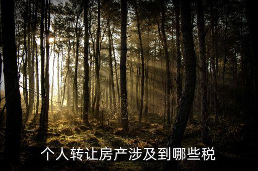 個人出售住房交什么稅，賣房子要交20的稅