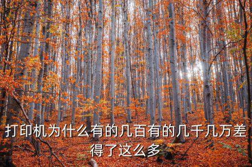 發(fā)票打印機為什么這么貴，為什么針式打印機還是那么貴