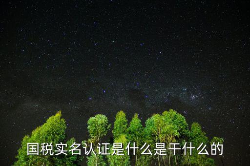 國(guó)稅實(shí)名制認(rèn)證要什么手續(xù)，國(guó)稅實(shí)名認(rèn)證是什么是干什么的