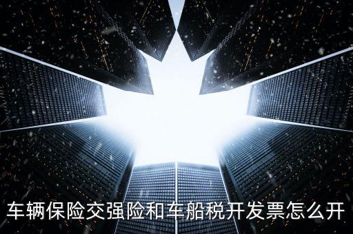 車(chē)輛保險(xiǎn)交強(qiáng)險(xiǎn)和車(chē)船稅開(kāi)發(fā)票怎么開(kāi)