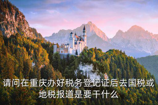 地稅報(bào)道是什么，地稅報(bào)的是哪些稅月報(bào)還是季報(bào)還是年報(bào)