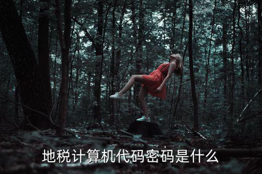 地稅稅務(wù)登陸密碼是什么意思，湖北地稅網(wǎng)絡(luò)發(fā)票登陸密碼是什么急急急
