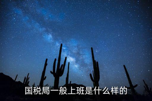 國稅局司機(jī)算什么工種，國稅局司機(jī)是干哪些工作的