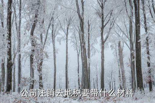 地稅注銷需要什么，注銷公司地稅局需要的資料