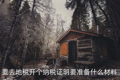 辦理地稅需要什么資料，辦地稅需要什么東西