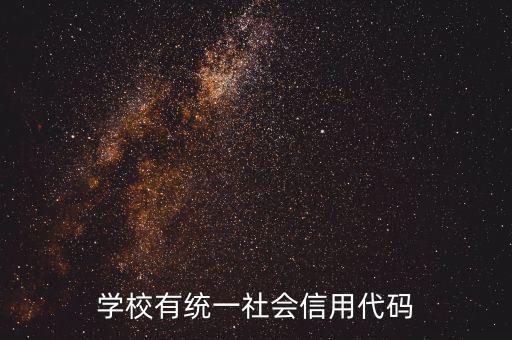 社會(huì)識(shí)別代碼是什么問(wèn)題，社會(huì)信用代碼是不是納稅人識(shí)別號(hào)