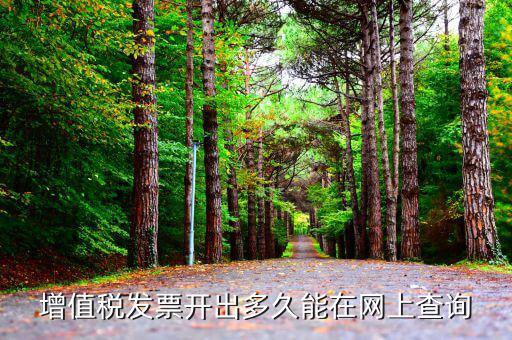 發(fā)票什么時候網(wǎng)上能查到，對方開具的增值稅發(fā)票什么時候能上網(wǎng)查詢到