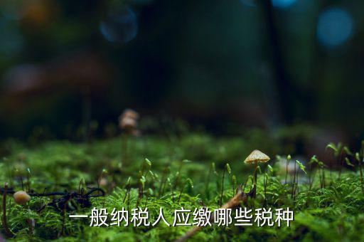 一般納稅人國稅申報什么稅種，在國稅申報的稅種有哪些稅率是多少