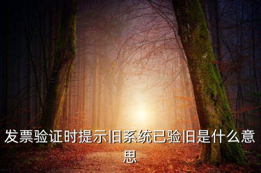 發(fā)票的驗舊時間是什么意思，發(fā)票驗證時提示舊系統(tǒng)已驗舊是什么意思