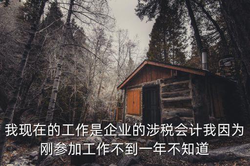 我現(xiàn)在的工作是企業(yè)的涉稅會計我因為剛參加工作不到一年不知道