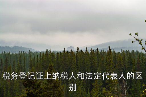 納稅人法定人是什么意思，稅務(wù)登記證上納稅人和法定代表人的區(qū)別