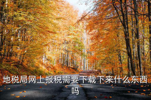 辦地稅都需要什么軟件，地稅網(wǎng)上申報(bào)軟件