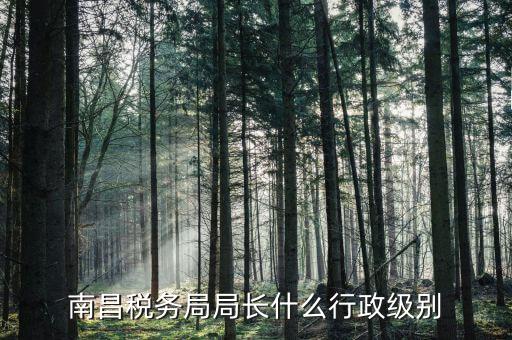 稅務(wù)局局長(zhǎng)是什么級(jí)別，金河鎮(zhèn)稅務(wù)務(wù)局局長(zhǎng)是什么級(jí)別