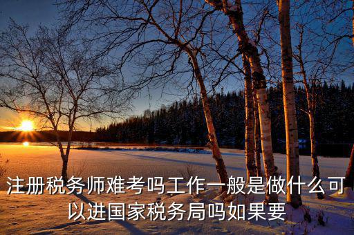 稅務(wù)師是什么，注冊(cè)稅務(wù)師能干什么待遇怎么樣