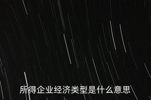 所得項目是什么意思，所得企業(yè)經(jīng)濟類型是什么意思