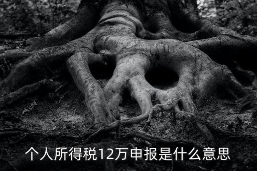 申報(bào)個(gè)稅是什么意思，12萬以上個(gè)人所得稅申報(bào)是什么意思