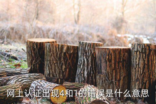 認(rèn)證發(fā)票4是什么問題，認(rèn)證發(fā)票通常會(huì)碰到哪些問題