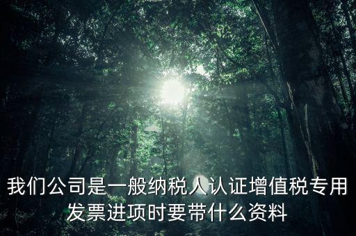 我們公司是一般納稅人認(rèn)證增值稅專用發(fā)票進(jìn)項時要帶什么資料