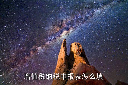 增值稅納稅申報表怎么填