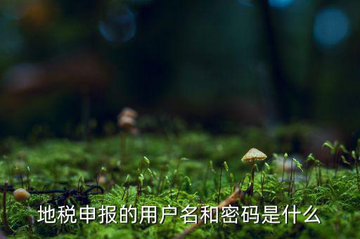 杭州地稅用戶名是什么意思，地稅的用戶名是什么