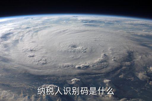 納銳人識別號是什么，納稅人識別碼是什么