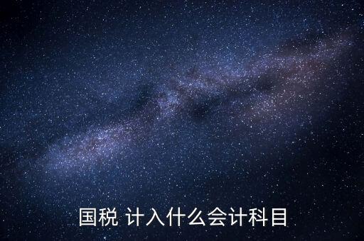 國(guó)稅申報(bào)記入什么科目，付國(guó)稅應(yīng)計(jì)入什么科目求解啊