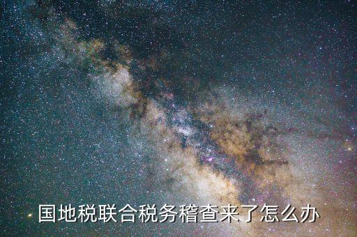 國地稅聯(lián)合稽查是什么意思，國地稅聯(lián)合稅費申報什么意思