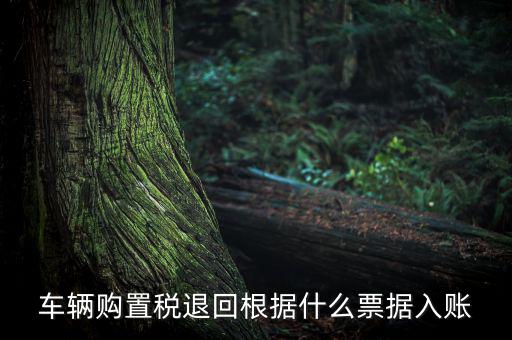 車輛購置稅退回根據(jù)什么票據(jù)入賬