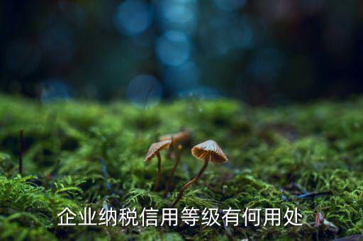 納稅等級(jí)有什么用，請(qǐng)問什么是分級(jí)別納稅信用單位怎么得到這種稱號(hào)得到了又有啥好