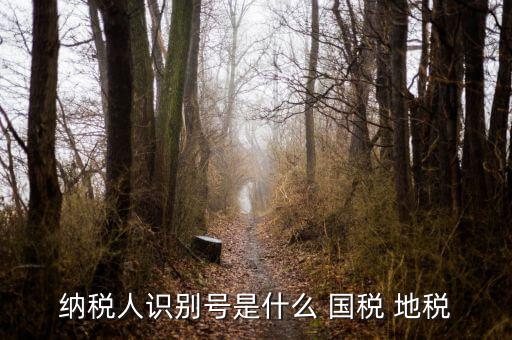 納稅人識(shí)別號是什么 國稅 地稅
