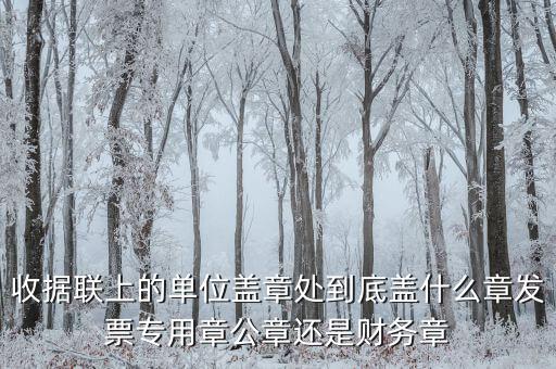 收據(jù)蓋章蓋是什么樣，收據(jù)上蓋什么章