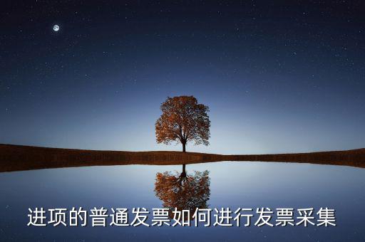 進(jìn)項(xiàng)的普通發(fā)票如何進(jìn)行發(fā)票采集