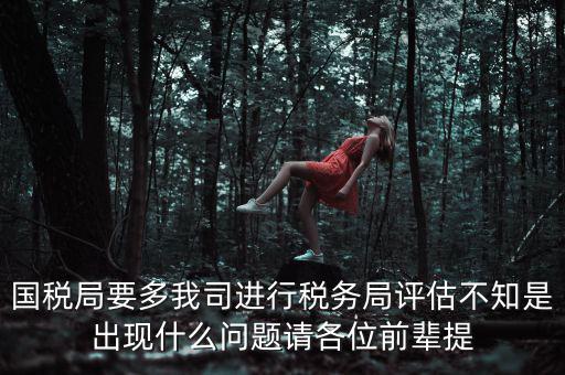 國稅評估局是干什么的，國稅局是做什么的說簡單點兒吧謝謝