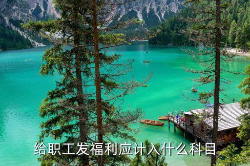 給員工發(fā)年終福利記什么科目，企業(yè)職工發(fā)放的年終獎入什么科目