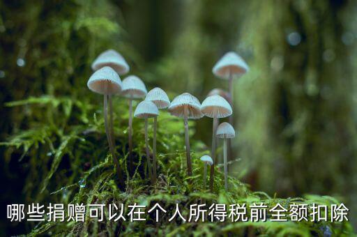 什么捐贈可以稅前扣除，求助企業(yè)在所得稅前可以扣除的捐贈支出
