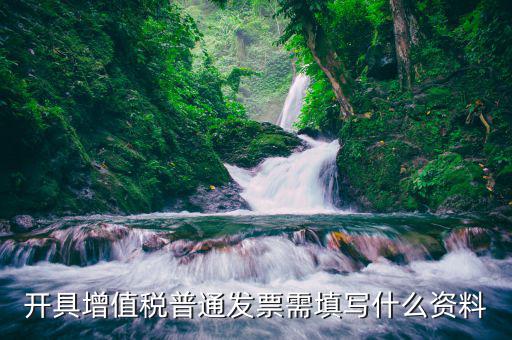 開(kāi)具增值稅普通發(fā)票需填寫(xiě)什么資料