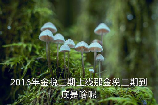 金稅三期雙軌是什么，金稅三期是什么意思