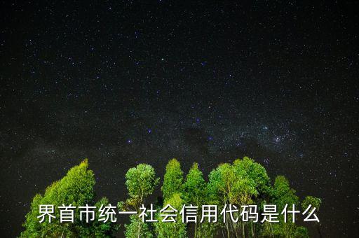統(tǒng)一社會信用代碼指什么，深圳碼統(tǒng)一社會信用代碼是什么
