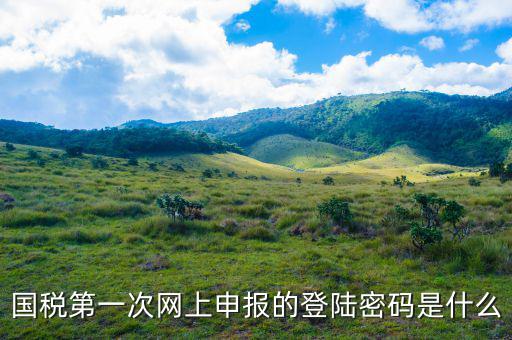 浙江國(guó)稅登入密碼是什么意思，稅務(wù)局網(wǎng)站的登入賬戶初始密碼是什么
